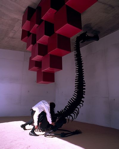 Cyber Fossils