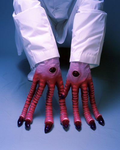 Hands v12.2